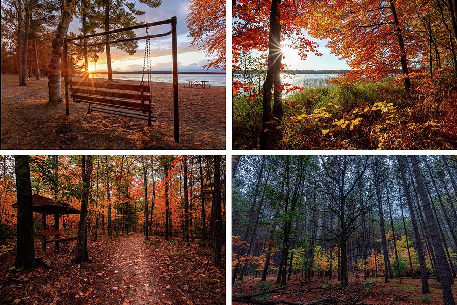 Higgins Lake Fall Collage Photograph by Ron Wiltse