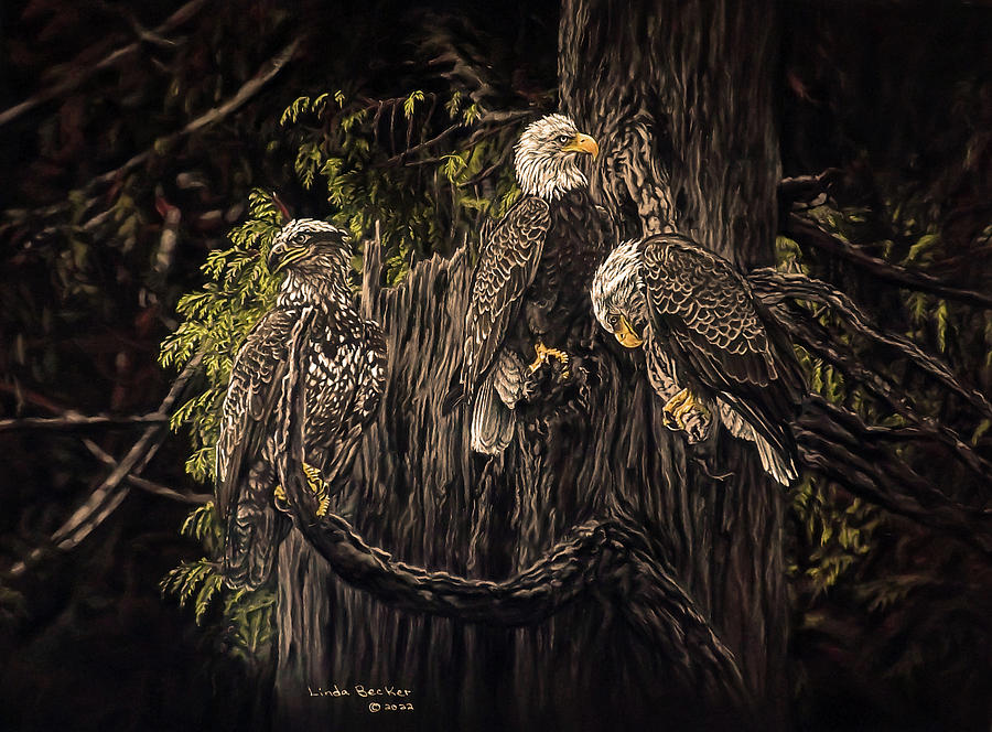 High Above the Canopy Painting by Linda Becker