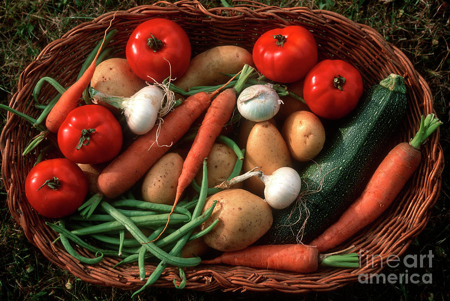 https://images.fineartamerica.com/images/artworkimages/mediumlarge/3/high-angle-shot-of-fresh-and-unwashed-vegetables-in-a-basket-on-the-grass-bernard-jaubert.jpg