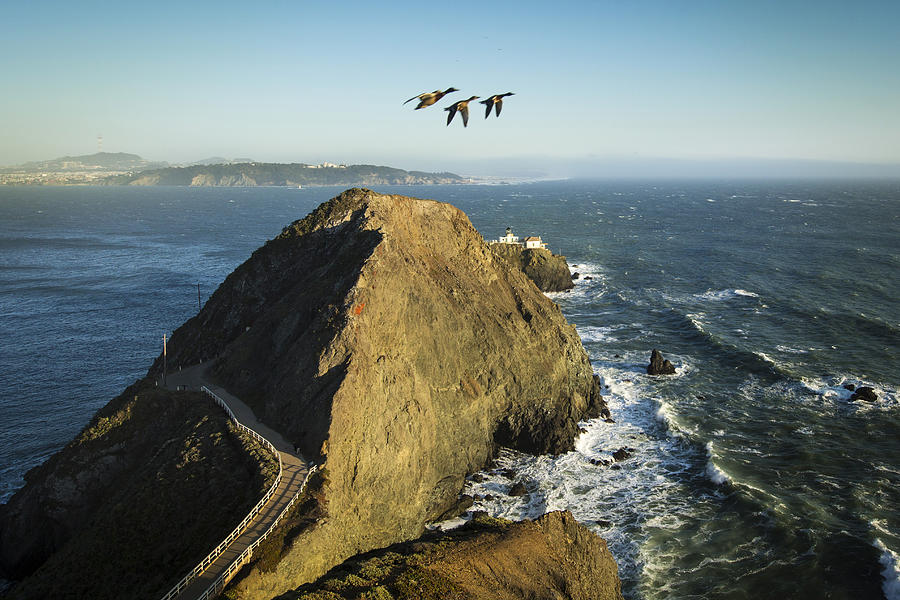 High angle view of geese flying over Marin Headlands, Sausalito, California, United States Photograph by Jeffrey Davis