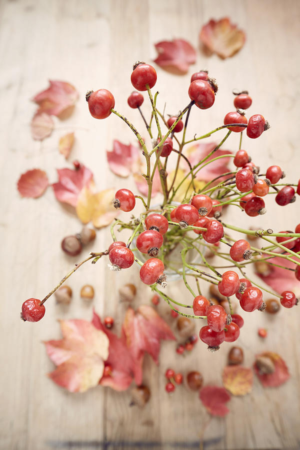 High angle view of rose hips in vase on wooden table Photograph by The_burtons