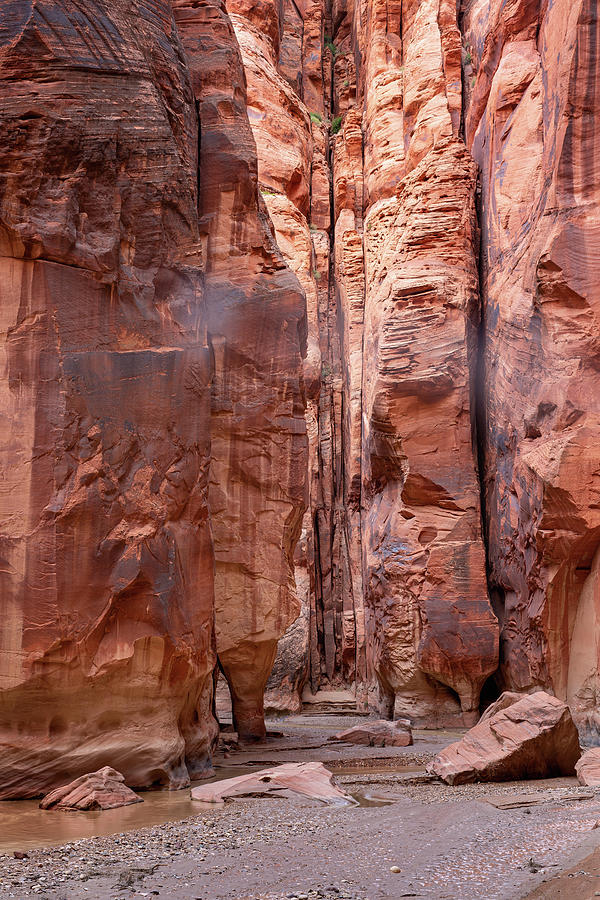 High Canyon Walls Photograph by Alex Mironyuk
