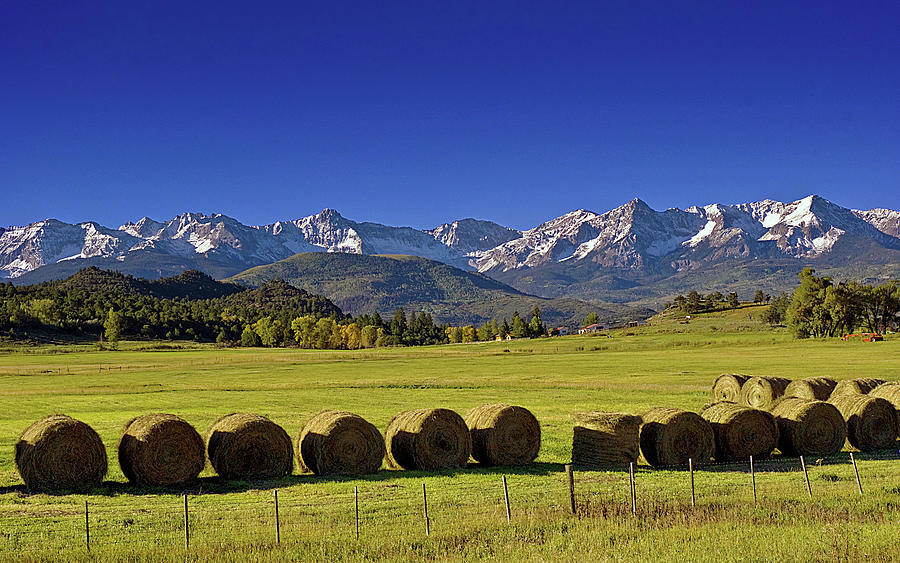 Mountain Photograph - High Country Harvest by Brian Kerls
