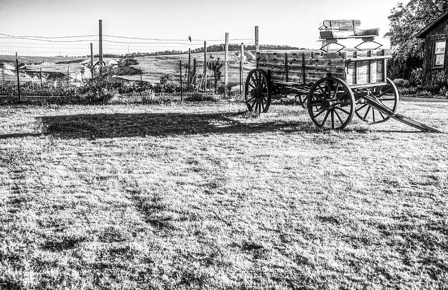 High Country Homestead Wagon 008 B Photograph by James C Richardson