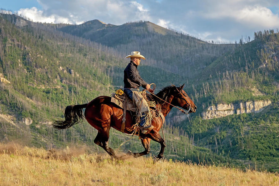 High Country Rider Photograph by Jack Bell