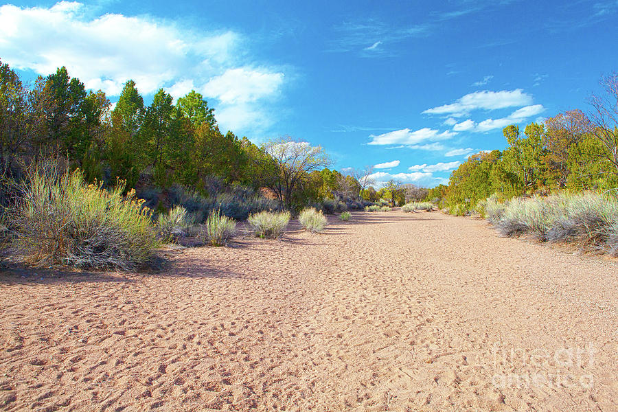 High Desert Arroyo Photograph by Roselynne Broussard | Fine Art America