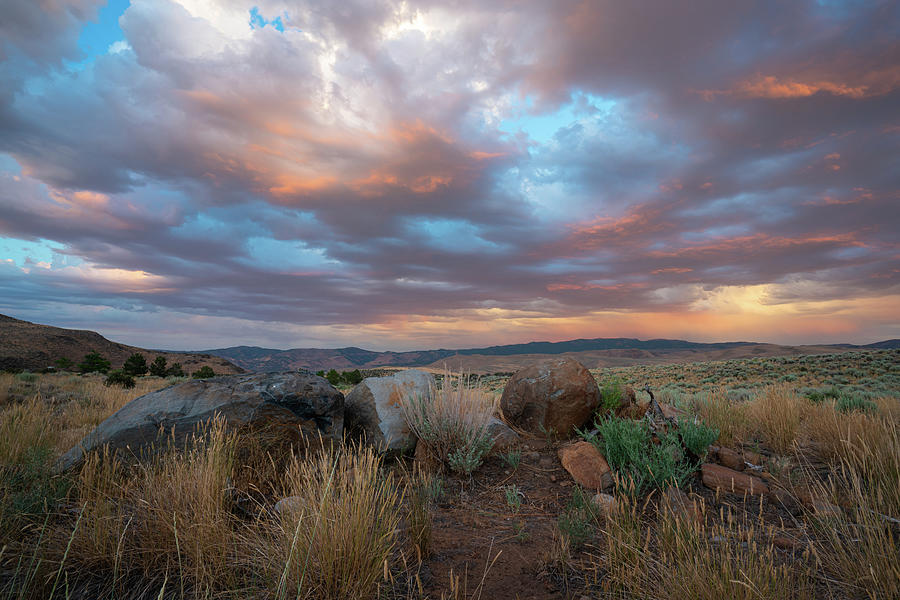 High Desert Golden Hour Photograph by Ron Long Ltd Photography