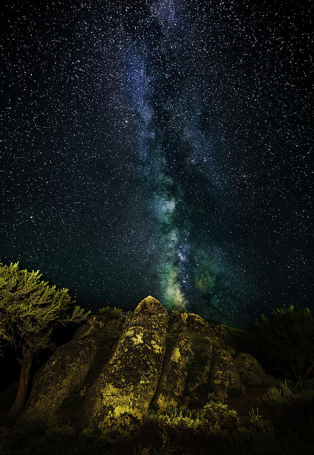 High Desert Milky Way 2 Photograph by Ron Long Ltd Photography
