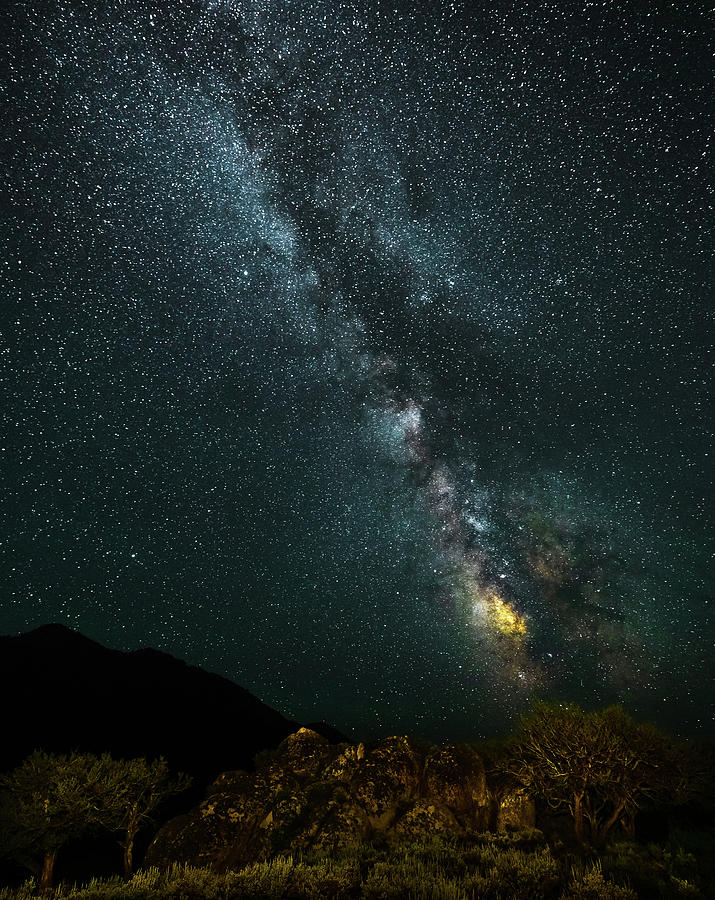 High Desert Milky Way 3 Photograph by Ron Long Ltd Photography