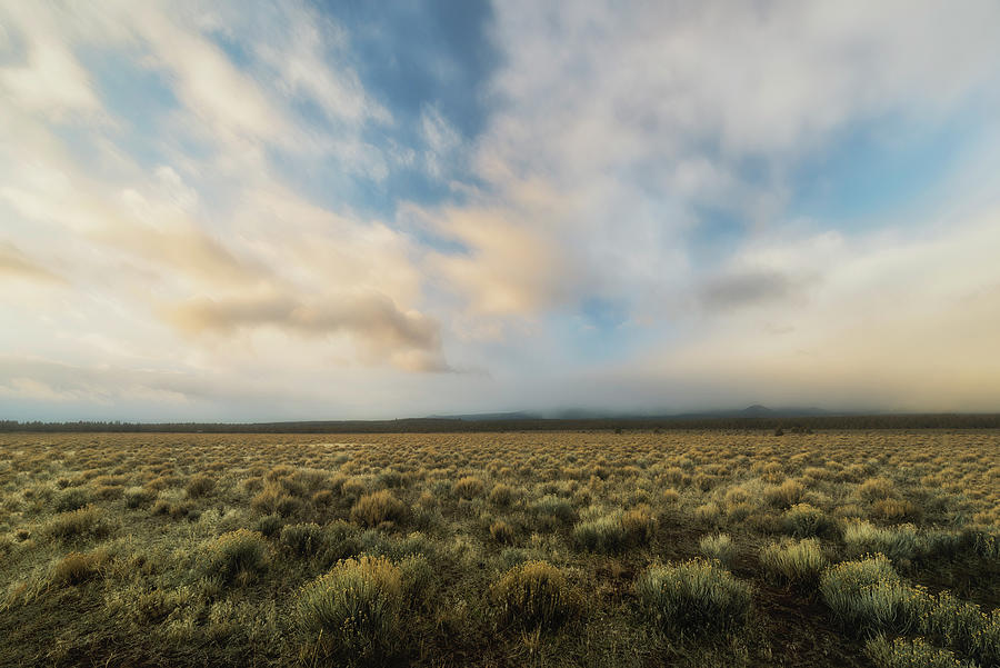 High Desert Morning Photograph by Ryan Manuel