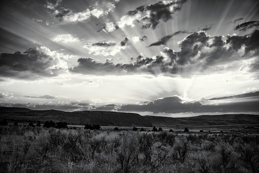 High Desert  Photograph by Steven Clark