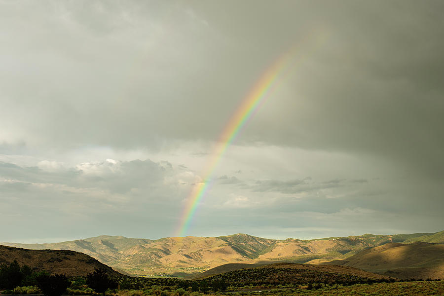 High Desert Thunderstorms 1 Photograph by Ron Long Ltd Photography