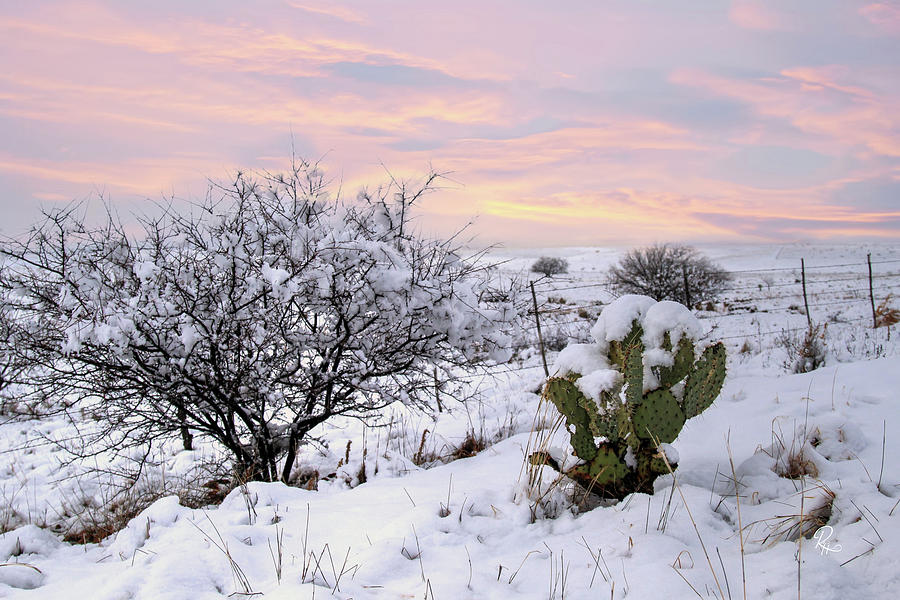 High Desert Winter Photograph by Robert Harris