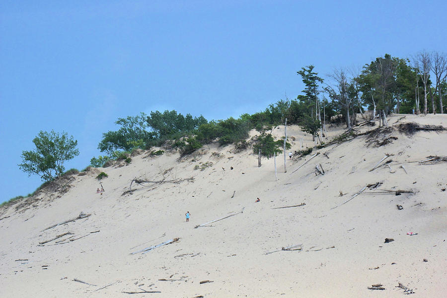 High Dune Michigan Photograph by John McCloskey | Pixels