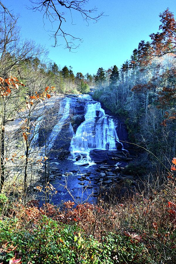 High Falls Dupont State Forest Vertical Photograph by Lisa Wooten ...