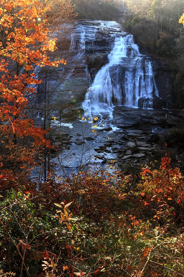 High Falls During Autumn At Dupont II Photograph by Carol Montoya