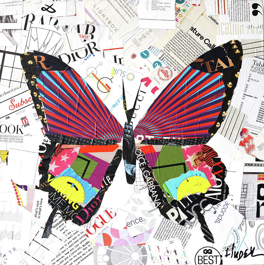 High Fashion Butterfly Mixed Media by James Hudek