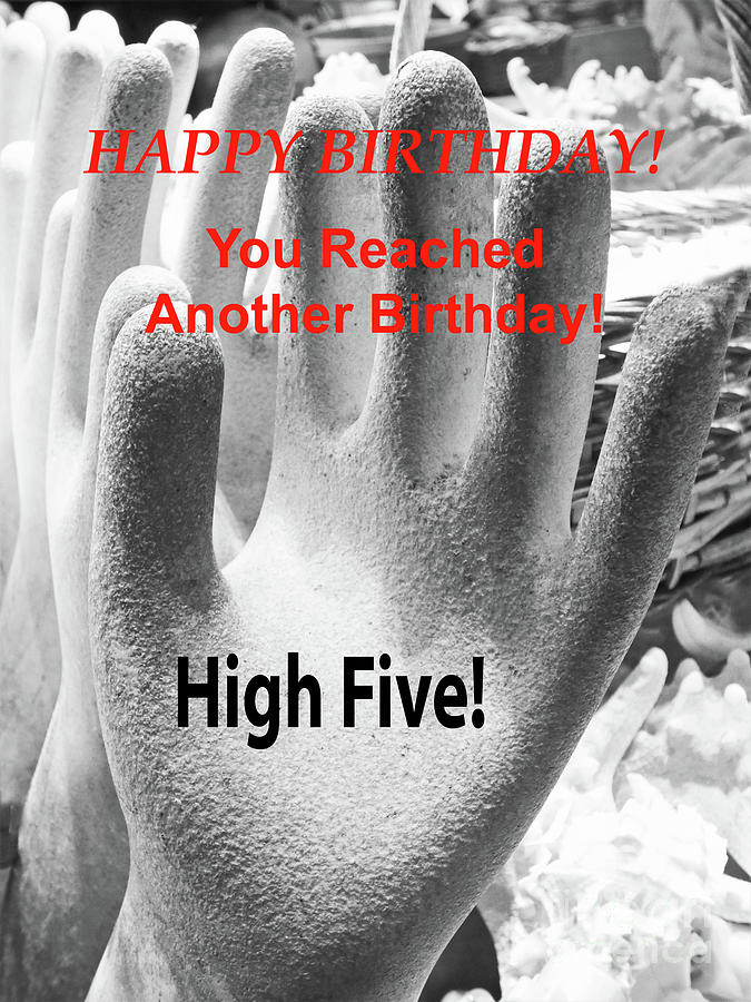 High Five Birthday Card Photograph by Sharon Williams Eng