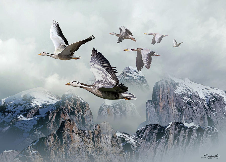 High-flying Geese Digital Art by M Spadecaller