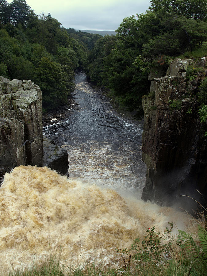 High force waterfall Photograph by Paul Gregory