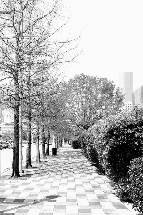 High Key Urban Sidewalk by Dan Sproul High Key Urban Sidewalk by Dan Sproul
