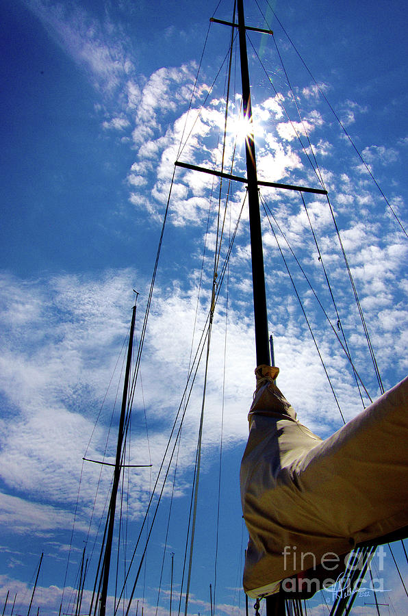 High Mast Photograph by Vicki Pelham