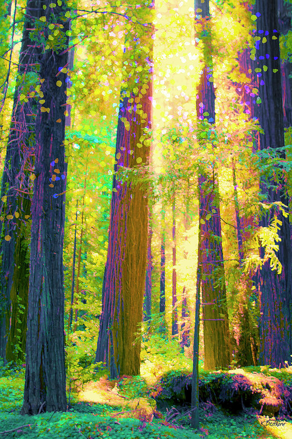 High Noon Redwoods Digital Art by Kathy Besthorn