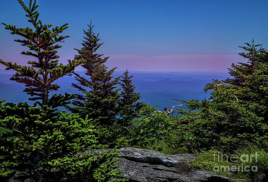 High in the Blue Ridge Mountains Photograph by Shelia Hunt