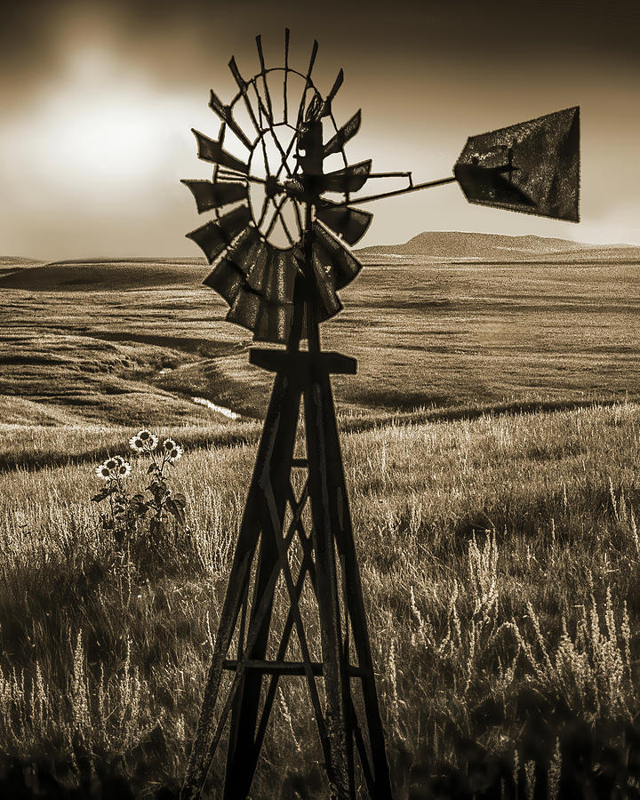 High Plains, Sepia, Wyoming Montana Photograph by Don Schimmel