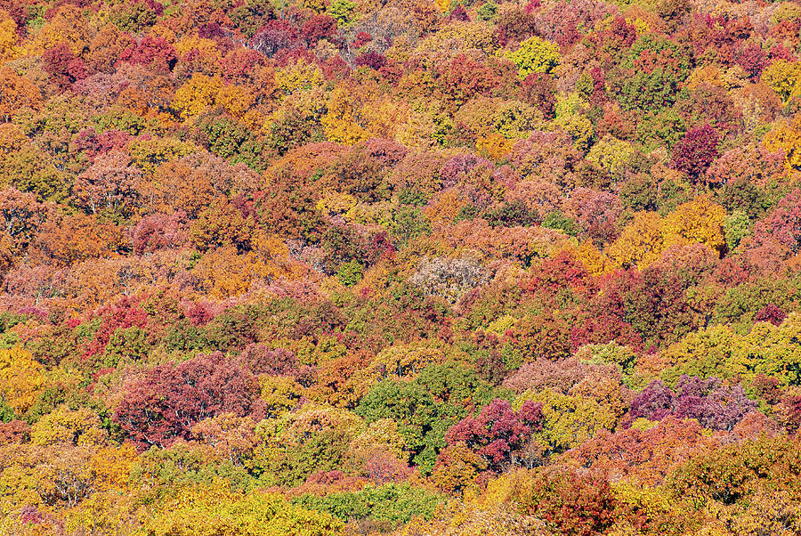 High Point Foliage Vista Photograph by Steven Richman