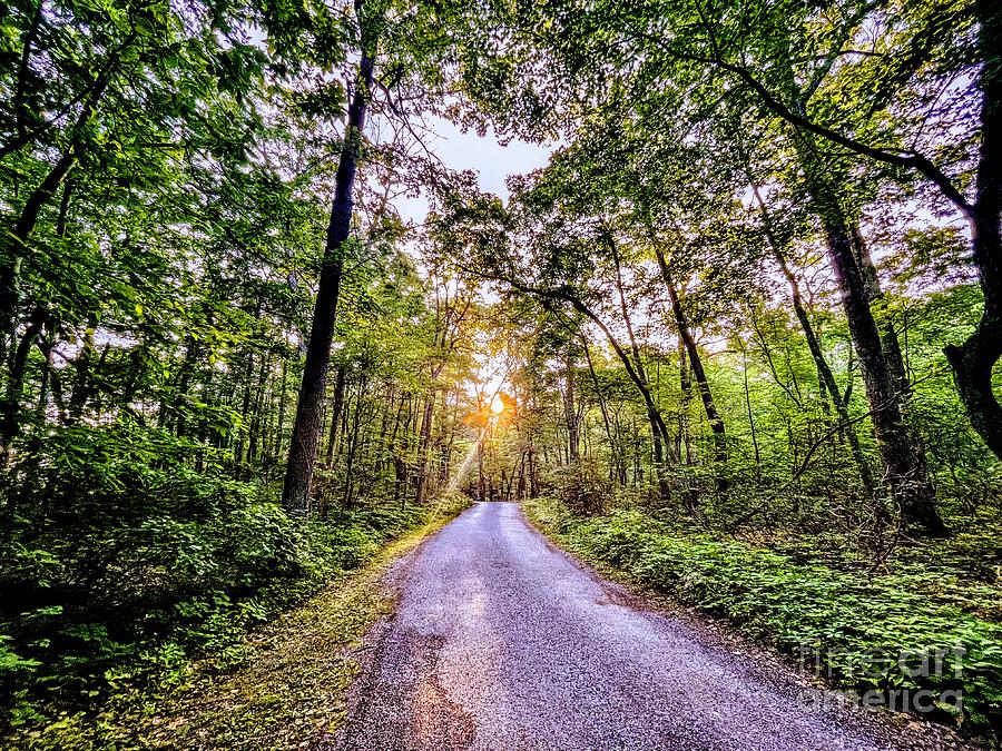 High Road - Beaver Lake, New Jersey Photograph by Dave Pellegrini