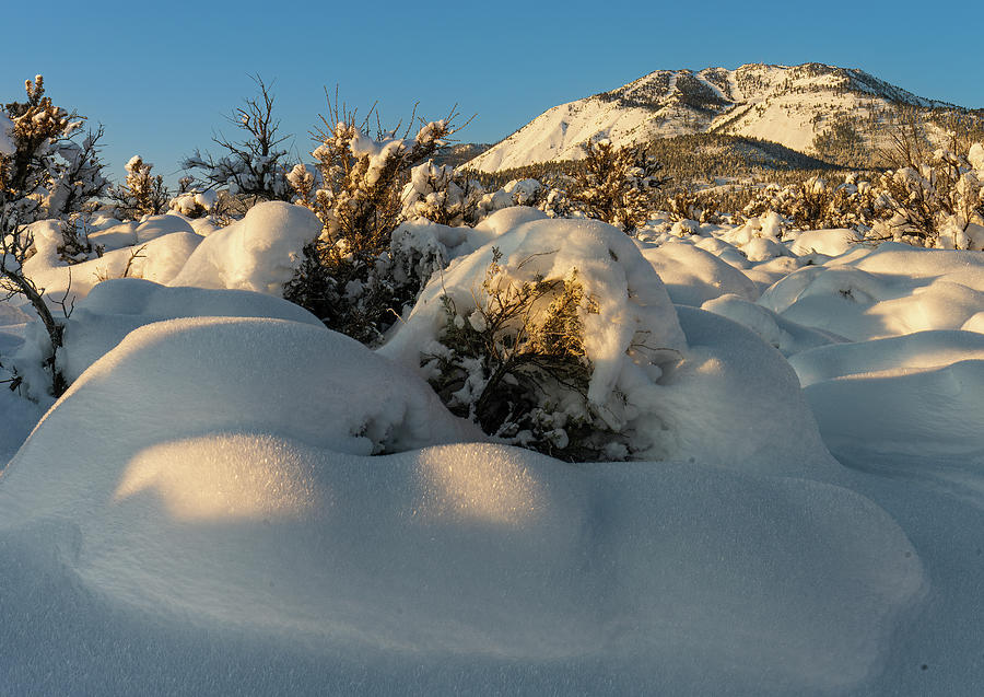 High Sierra Winter Wonderland Photograph by Ron Long Ltd Photography
