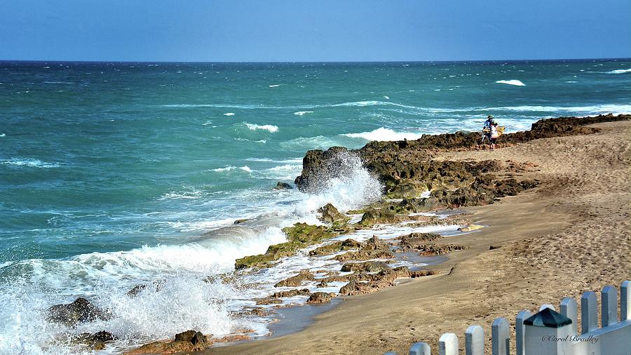 Bradley Beach Tide Chart