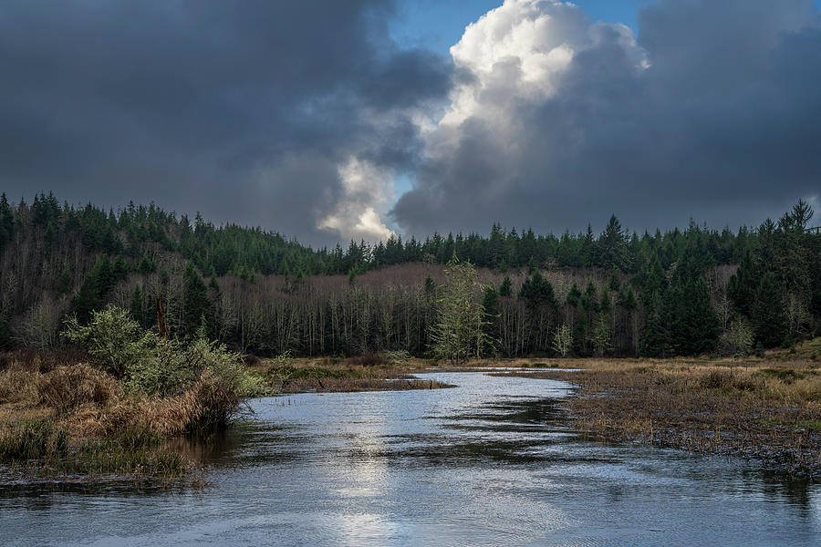 Afternoon Photograph - High Tide on Colewort Creek by Robert Potts Afternoon Photograph - High Tide on Colewort Creek by Robert Potts