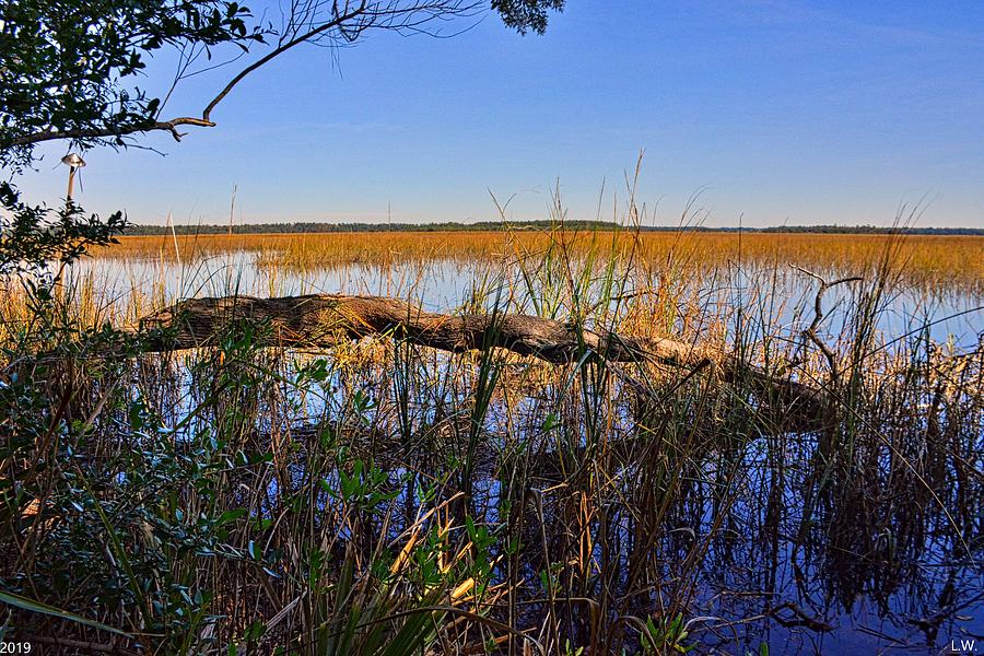 High Tide On The Marsh Beaufort South Carolina Photograph by Lisa Wooten