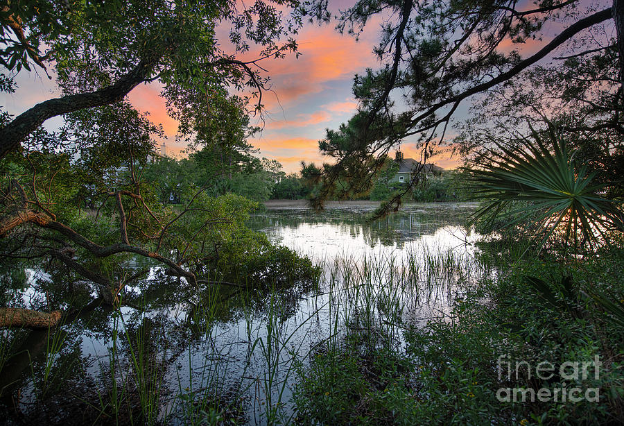 Sunset Photograph - High Tide - Rivertowne on the Wando - Along the Wando River by Dale Powell