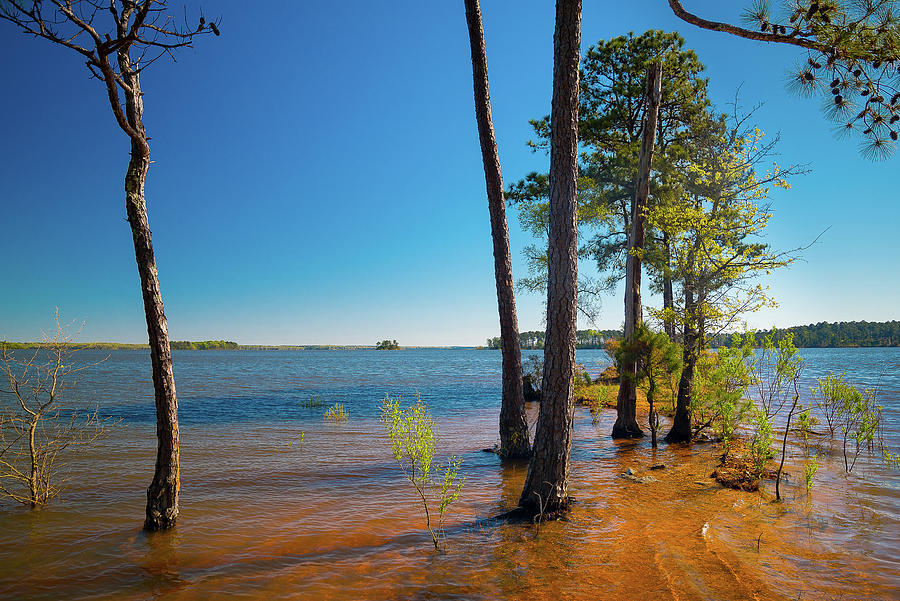 High Water on Clarks Hill Lake Photograph by Scot Roberge | Pixels