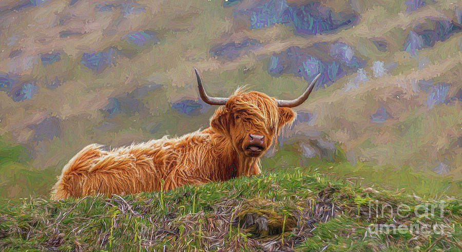 Highland Cow Digital Art by Liz Leyden
