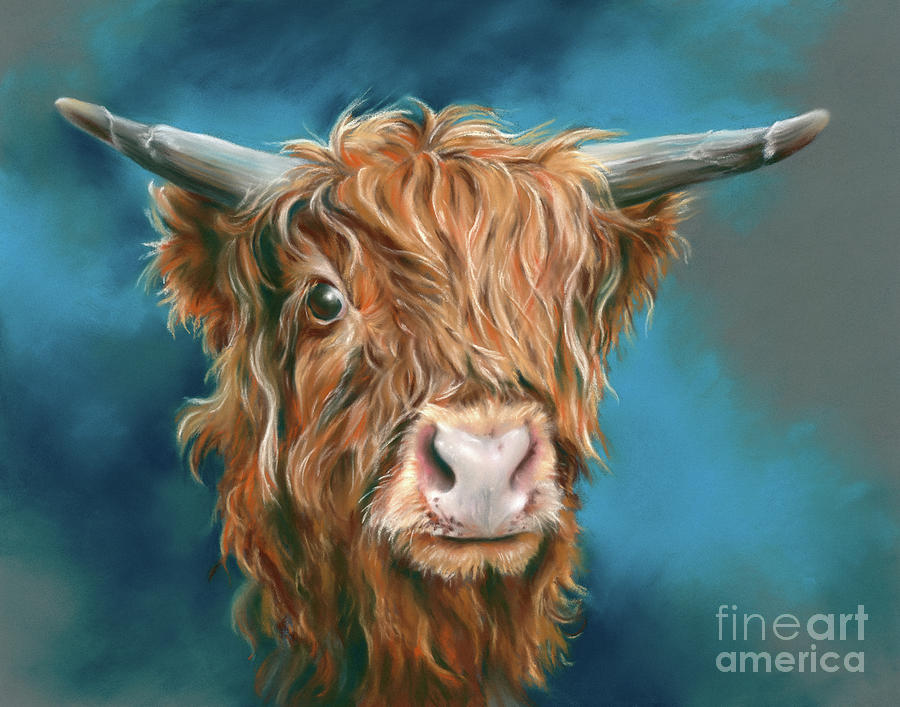Animal Painting - Highland Cow on Blue by MM Anderson