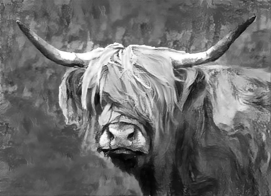 Highland Cow Portrait Black And White Mixed Media by Sandi OReilly