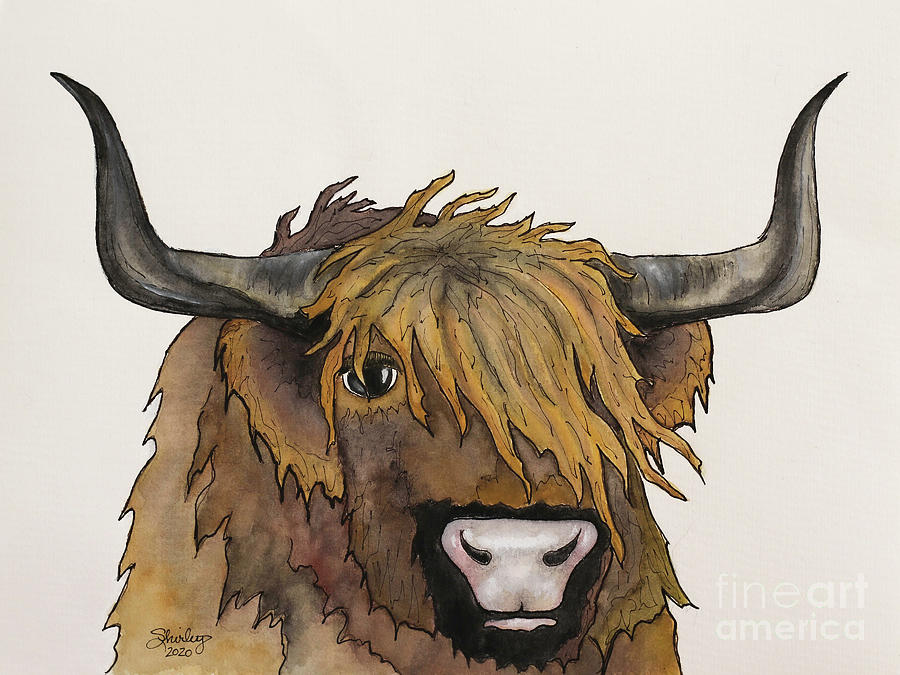 Highland Cow Painting by Shirley Dutchkowski