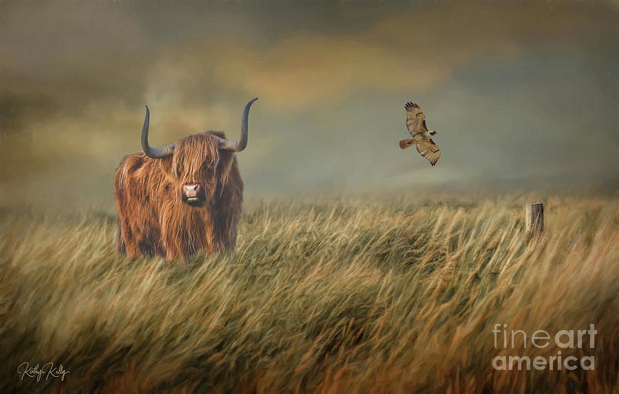 Highland Cow with Hawk Mixed Media by Kathy Kelly