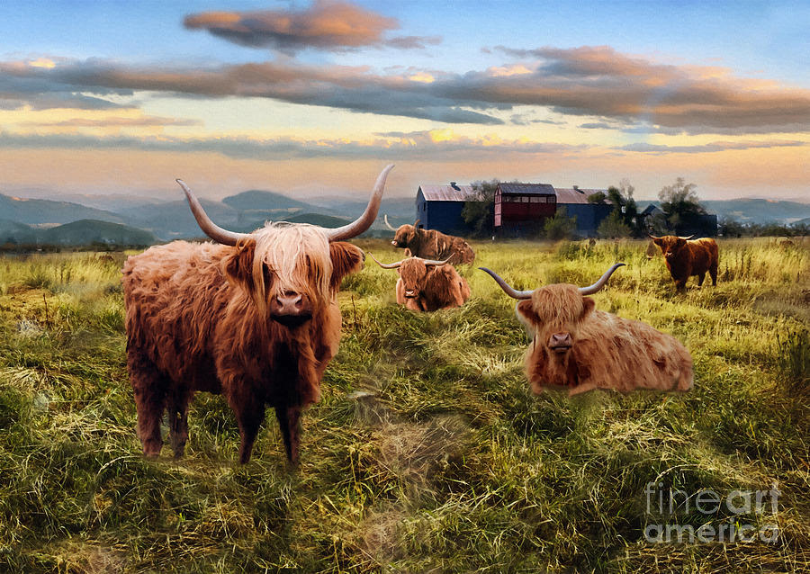 Highland Cows Ranch Mixed Media by Sandi OReilly