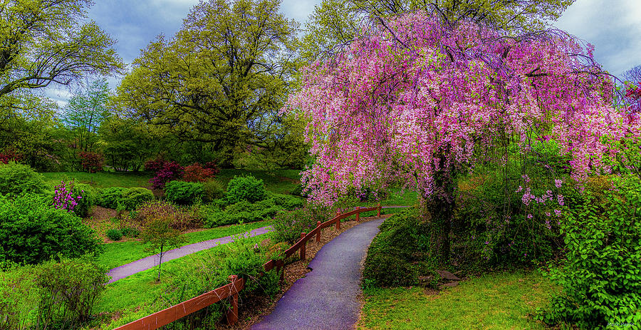 Spring Photograph - Highland Park by Mark Papke
