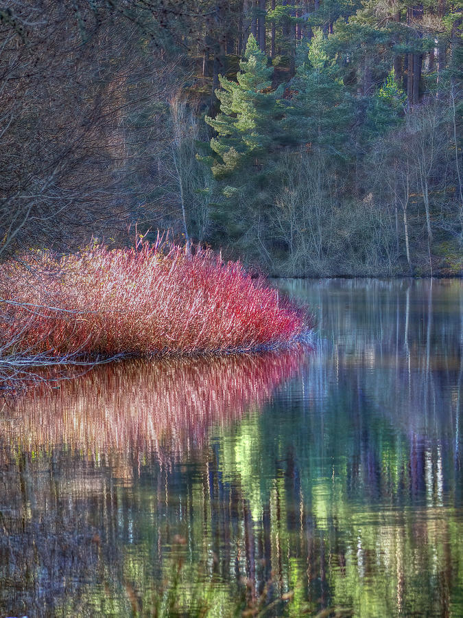 Highland Scotland Winter Pink Reflection Secret Fairytale Loch  Photograph by OBT Imaging