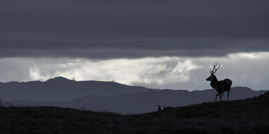 Highland Skyline Photograph by Gavin MacRae