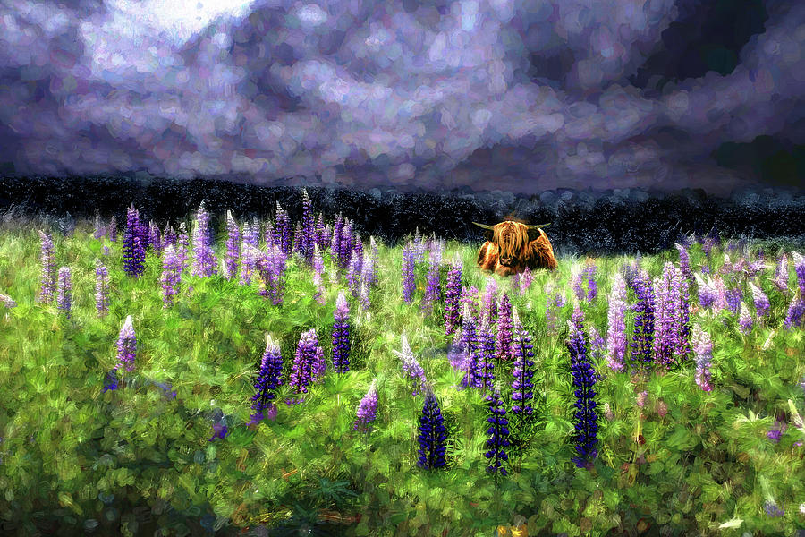 Highland Storm #5  On Point in the Lupine Photograph by Wayne King
