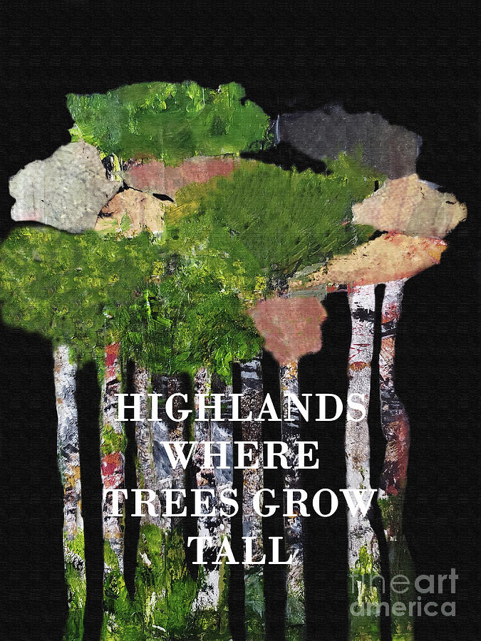 Highlands Where Trees Grow Tall Mixed Media