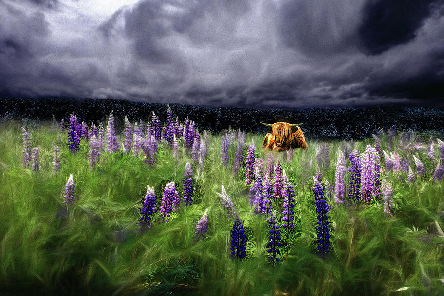 HighlandStorm #4  Glow in the Lupine Photograph by Wayne King
