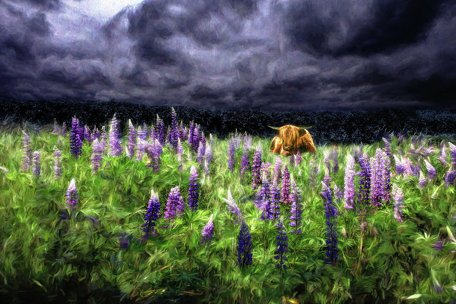 HighlandStorm #6  Renoirs Storm Photograph by Wayne King